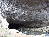 Lost Cove Cave Main Entrance From Below