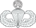 Master Parachutist badge (United States).svg