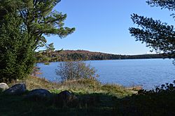 Lakeside view in Piercefield