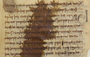 The runic signature of Cynewulf in The Fates of the Apostles - Vercelli Book, f. 54r