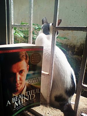 Cat and A Beautiful Mind