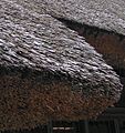 Closeup of thatching Ben W Bell 31 7 2005