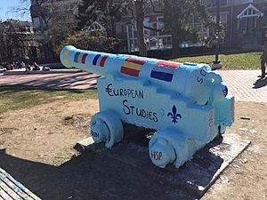 EURO cannon 1