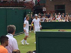 Hewitt Kokkinakis Wimbledon 2015
