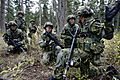 JGSDF 22nd Inf. official