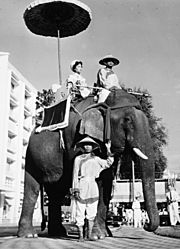 On a sunny day in Saigon, national heroines of Viet Nam are honored with a parade of elephants and floats