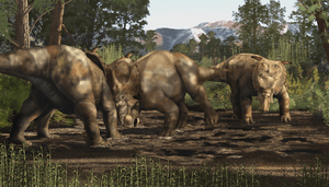 Pachyrhinosaurus fight