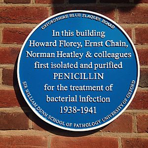 Penicillin development (43818514272)