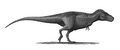 Tyrannosaurus-rex-Profile-steveoc86