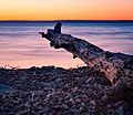 Bras d'Or Sunset, Cape Breton Island, Nova Scotia (24237037660)