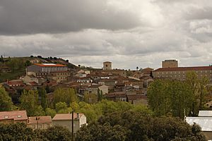 View of Caleruega, 2010