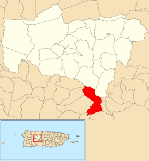 Location of Consejo within the municipality of Utuado shown in red