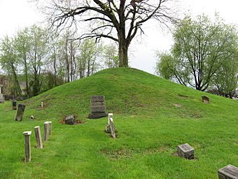 Hodgen's Cemetery Mound from the east.jpg