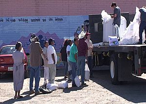 San Carlos Apache Reservation Jojoba Seed Purchase(2008)