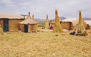 Uros Indian woman at work on a reed island in the titicace lake in Peru