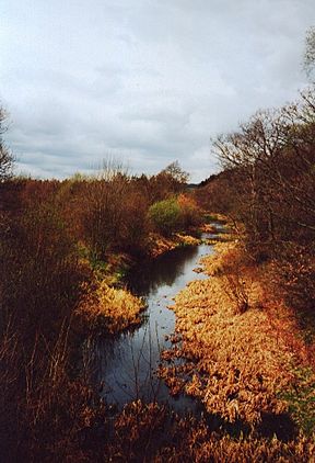 Barnsley Canal in Haw Park Woods.jpg