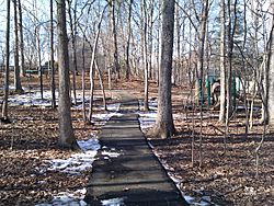 Path in the woods, Burke Centre