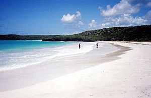Corcho Beach, Vieques, Puerto Rico