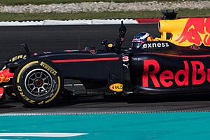 Daniel Ricciardo won 2016 Malaysian GP 2
