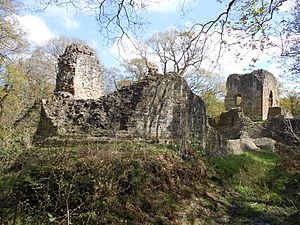 Ewloe Castle, Flintshire (1).jpg