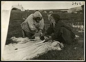 Inuit women scraping caribou skin