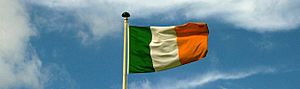 Irish flag (220399586)