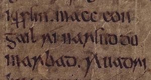 Macc Congail (Bodleian Library MS Rawlinson B 503, folio 30r)