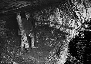 Miner underground at Pumsaint gold mine (1294028)
