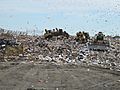 Trash Landfill