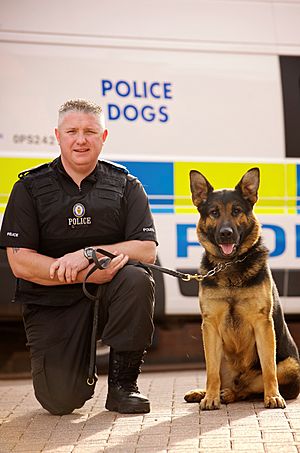 Day 254 - West Midlands Police - Police Dog Axel (7971043714)