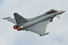 Eurofighter Typhoon FIA 2012
