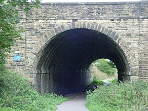 Old Railway Tunnel - geograph.org.uk - 54659