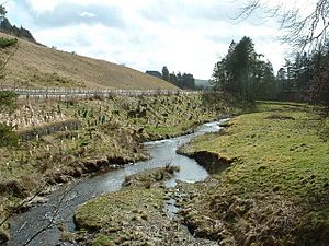 The River Ithon - geograph.org.uk - 416912