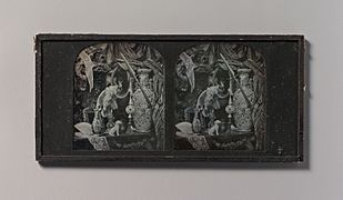 -Stereograph Still-life with Cockatoo, Mirror, Ornamental Ball, Vases, and Lace- MET DP700252