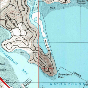 Aramburu Island, USGS, 1999