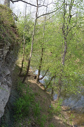 Creek and cliff at Paintsville.jpg