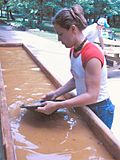 Panning for gold at the Reed Gold Mine