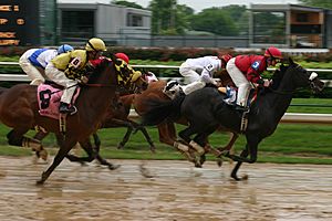 Horse race, Churchill Downs 2008-04-18