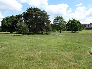 Lord's Well Field, Eriswell 4.jpg
