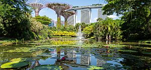 Marina Bay Sands from Gardens By The Bay.jpg