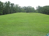 Mound B at Poverty Point IMG 7424