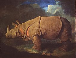 Rhinoceros (ca. 1780-91), oil on canvas, 69.9 x 92.7 cm., private collection