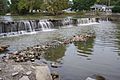 Riverside Park weir - Findlay, Ohio