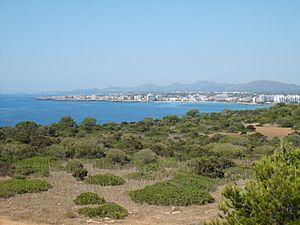 A view of the bay of s'Illot and Sa Coma