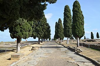 The Cardo Maximus, Italica, Spain (31270760842)