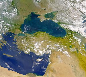 The Danube Spills into the Black Sea