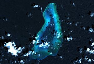 Blenheim Reef Landsat