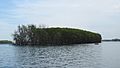 Humbug Island (May 2021)