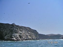 Islas Ballestas - panoramio (3).jpg