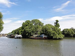 Isleworth Ait on the Thames - panoramio